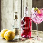 Pink Tonic – koktail s Harahorn Pink Ginom