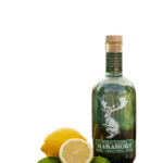 lemon gin - isolated