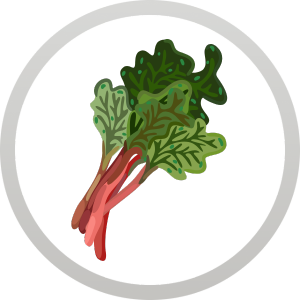 Rebarbora – botanická zložka Harahorn ginu