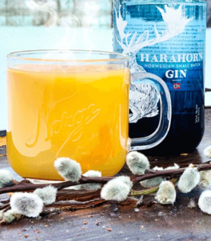 Appelsin Toddy – teplý koktail s Harahorn ginom